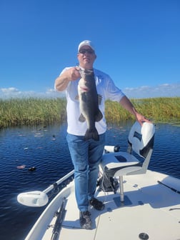 Fishing in Clewiston, Florida