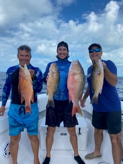 Warsaw Grouper fishing in Islamorada, Florida