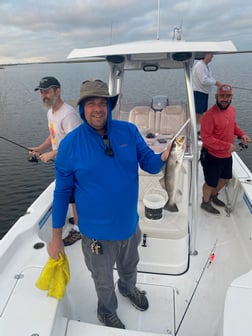 Fishing in Yscloskey, Louisiana