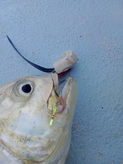 Fishing in Melbourne, Florida