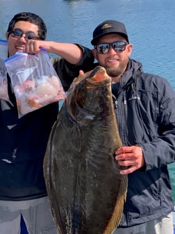 Halibut Fishing in Oxnard, California