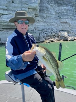 Largemouth Bass Fishing in Austin, Texas