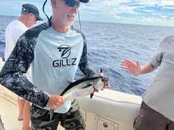 Blackfin Tuna Fishing in Marathon, Florida