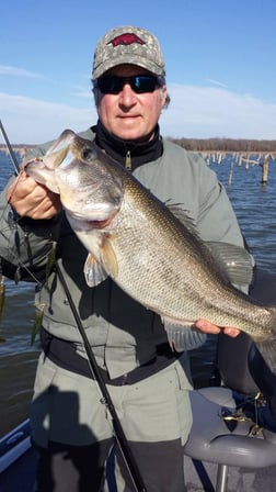 Fishing in Alba, Texas