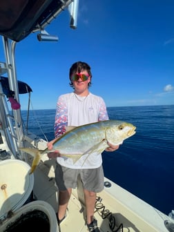 Mahi Mahi Fishing in Tampa, Florida