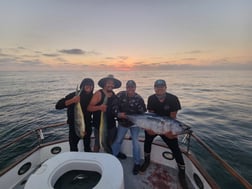 Mahi Mahi / Dorado Fishing in San Diego, California