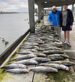 Speckled Trout / Spotted Seatrout Fishing in Venice, Louisiana