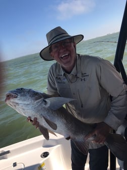 Black Drum Fishing in League City, Texas