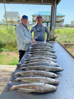 Speckled Trout / Spotted Seatrout fishing in Galveston, Texas