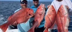 Red Snapper Fishing in Clearwater, Florida