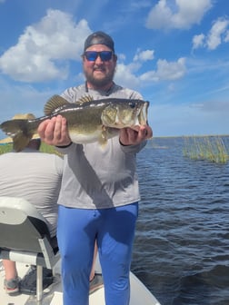 Largemouth Bass Fishing in Clewiston, Florida