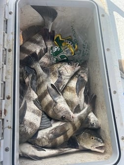 Fishing in Port O'Connor, Texas