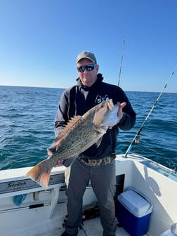 Fishing in Panama City Beach, Florida