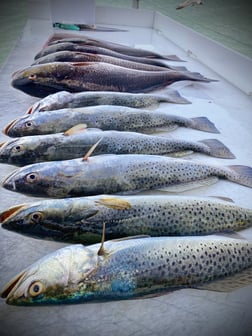 Fishing in South Padre Island, Texas