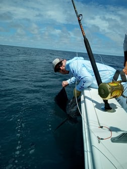 Sailfish fishing in Quepos, Costa Rica