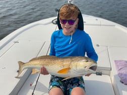 Tarpon fishing in Jacksonville Beach, Florida