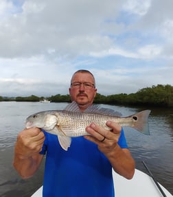 Speckled Trout / Spotted Seatrout Fishing in St. Augustine, Florida