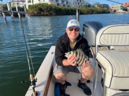 Fishing in Sarasota, Florida