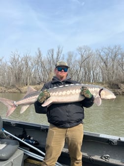 Sturgeon Fishing in Anderson, California