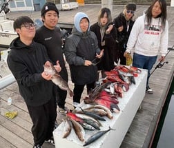 Bonito, California Sheephead, Lingcod, Rockfish Fishing in Long Beach, California