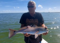 Redfish Fishing in Crystal River, Florida