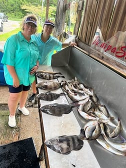 Fishing in Biloxi, Mississippi