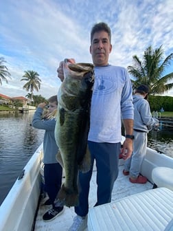 Peacock Bass Fishing in West Palm Beach, Florida