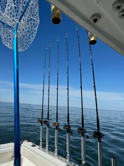 Perch Fishing in Oak Harbor, Ohio