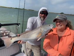 Speckled Trout Fishing in Ingleside, Texas