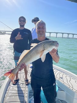 Redfish fishing in Clearwater, Florida