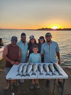 Hybrid Striped Bass Fishing in Burnet, Texas