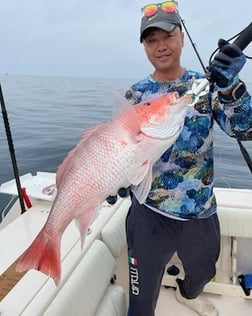 Cobia Fishing in Charleston, South Carolina