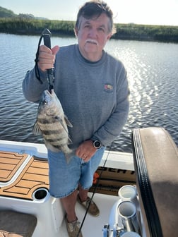 Black Drum Fishing in Little River, South Carolina