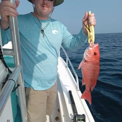 Black Seabass, Cobia Fishing in St. Marys, Georgia