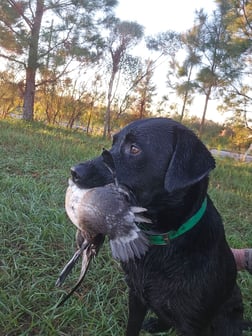 Hunting in Pensacola, Florida