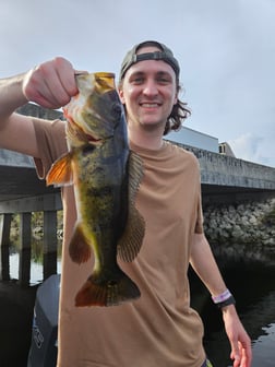 Fishing in Fort Lauderdale, Florida