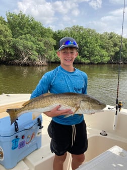 Redfish fishing in St. Petersburg, Florida