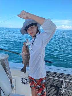 Fishing in Sarasota, Florida