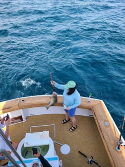 Gag Grouper Fishing in Destin, Florida