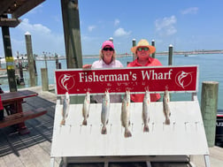 Speckled Trout Fishing in Matagorda, Texas