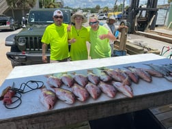 Fishing in Pensacola, Florida