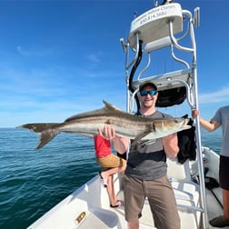 Cobia Fishing in Panama City, Florida