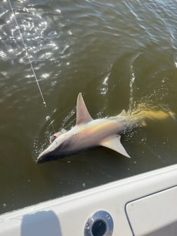 Fishing in Little River, South Carolina