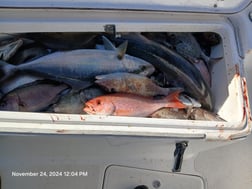 Fishing in Wrightsville Beach, North Carolina