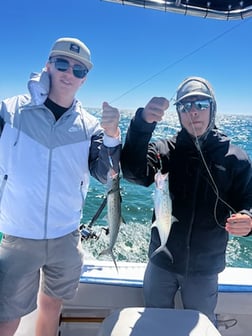 Fishing in Destin, Florida