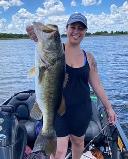 Largemouth Bass fishing in Kissimmee, Florida