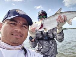 Tarpon Fishing in Cancún, Quintana Roo