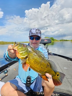 Fishing in Fort Lauderdale, Florida