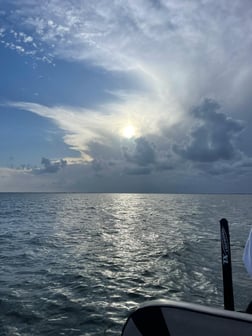 Speckled Trout / Spotted Seatrout fishing in Galveston, Texas