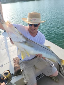 Snook Fishing in Sarasota, Florida